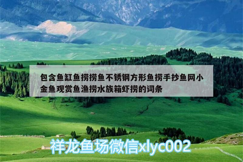 包含鱼缸鱼捞捞鱼不锈钢方形鱼捞手抄鱼网小金鱼观赏鱼渔捞水族箱虾捞的词条 鱼缸/水族箱