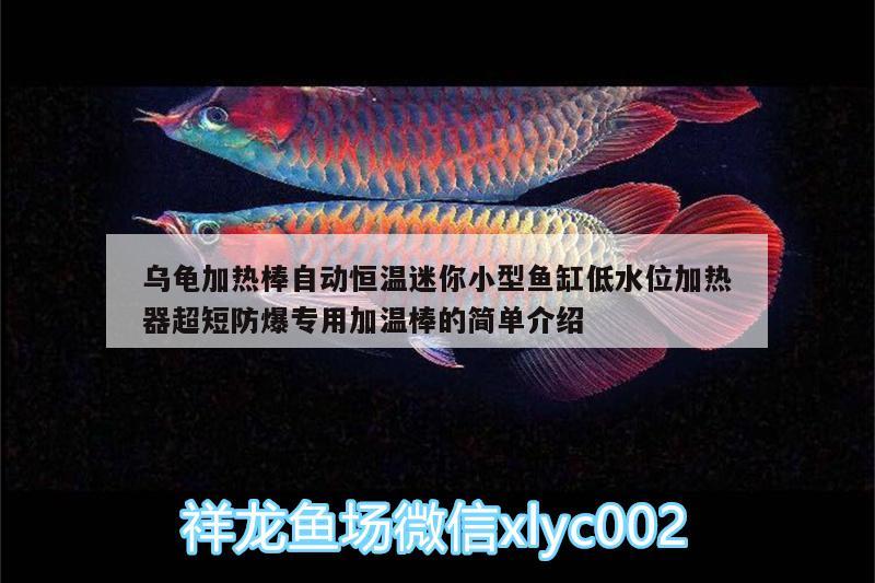 乌龟加热棒自动恒温迷你小型鱼缸低水位加热器超短防爆专用加温棒的简单介绍