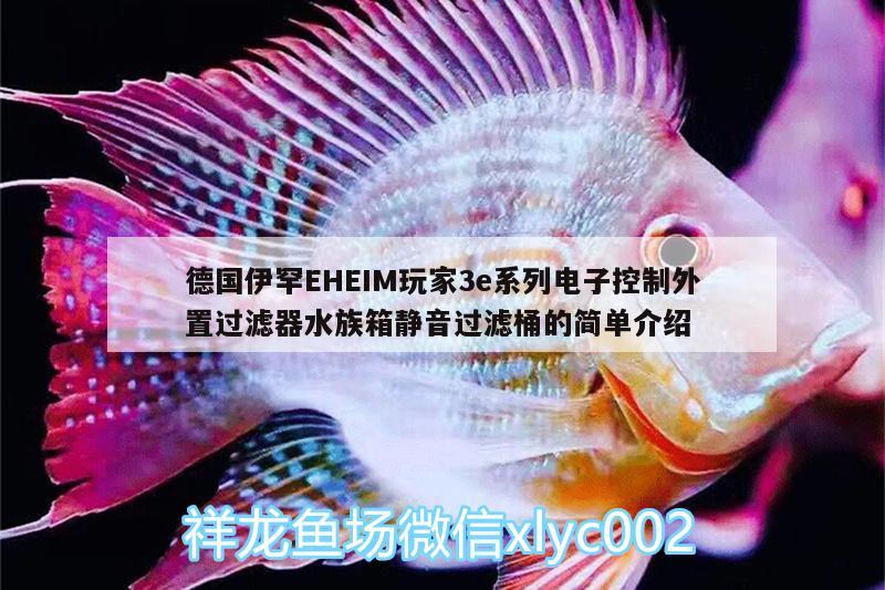 德国伊罕EHEIM玩家3e系列电子控制外置过滤器水族箱静音过滤桶的简单介绍 伊罕水族