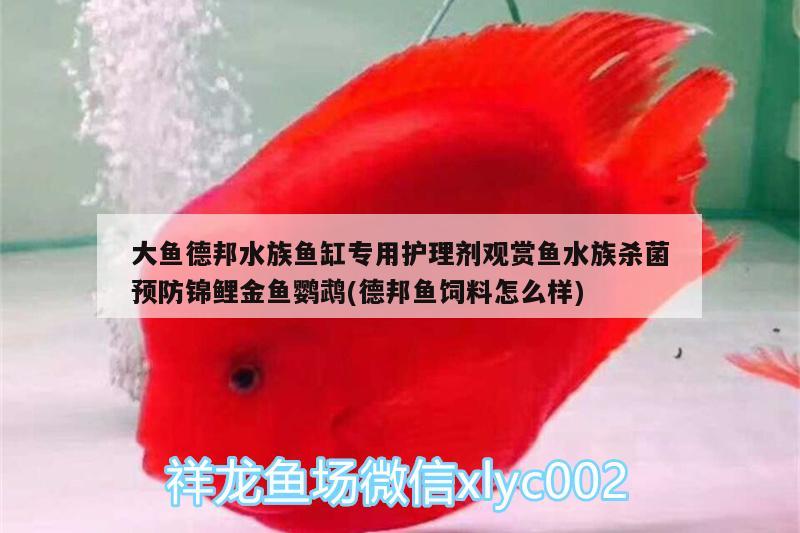 大鱼德邦水族鱼缸专用护理剂观赏鱼水族杀菌预防锦鲤金鱼鹦鹉(德邦鱼饲料怎么样)