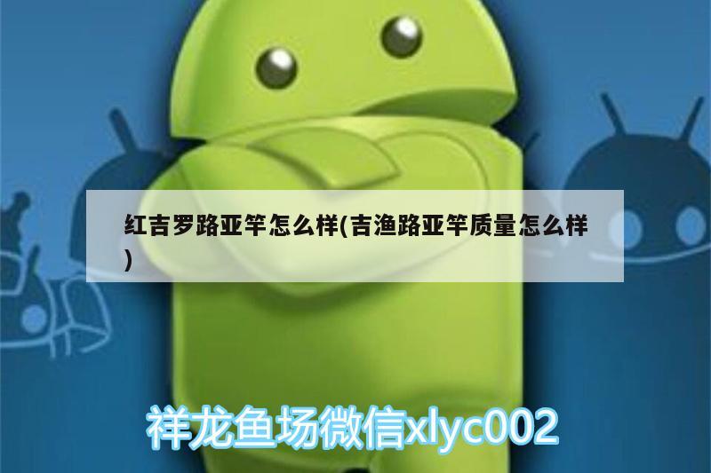 红吉罗路亚竿怎么样(吉渔路亚竿质量怎么样)