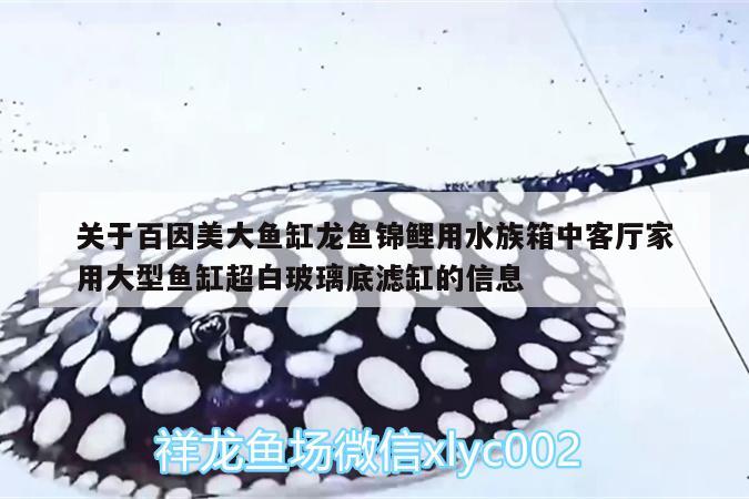 关于百因美大鱼缸龙鱼锦鲤用水族箱中客厅家用大型鱼缸超白玻璃底滤缸的信息