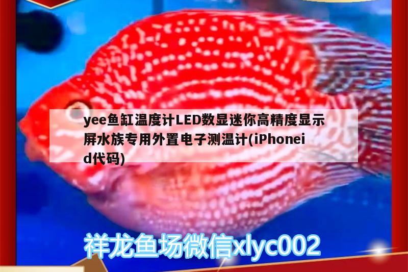 yee鱼缸温度计LED数显迷你高精度显示屏水族专用外置电子测温计(iPhoneid代码) yee