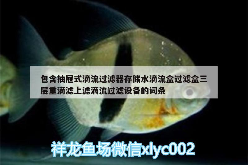 包含抽屉式滴流过滤器存储水滴流盒过滤盒三层重滴滤上滤滴流过滤设备的词条