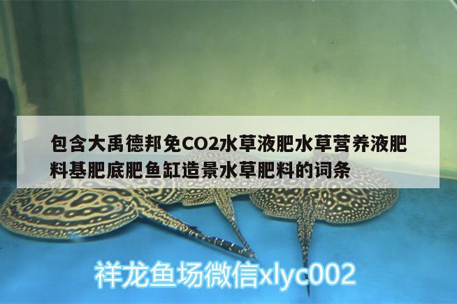 包含大禹德邦免CO2水草液肥水草营养液肥料基肥底肥鱼缸造景水草肥料的词条