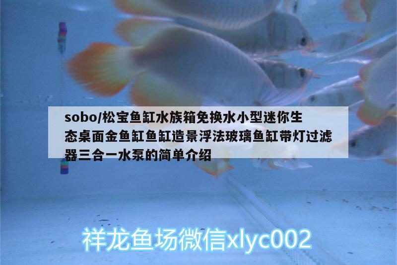 sobo/松宝鱼缸水族箱免换水小型迷你生态桌面金鱼缸鱼缸造景浮法玻璃鱼缸带灯过滤器三合一水泵的简单介绍