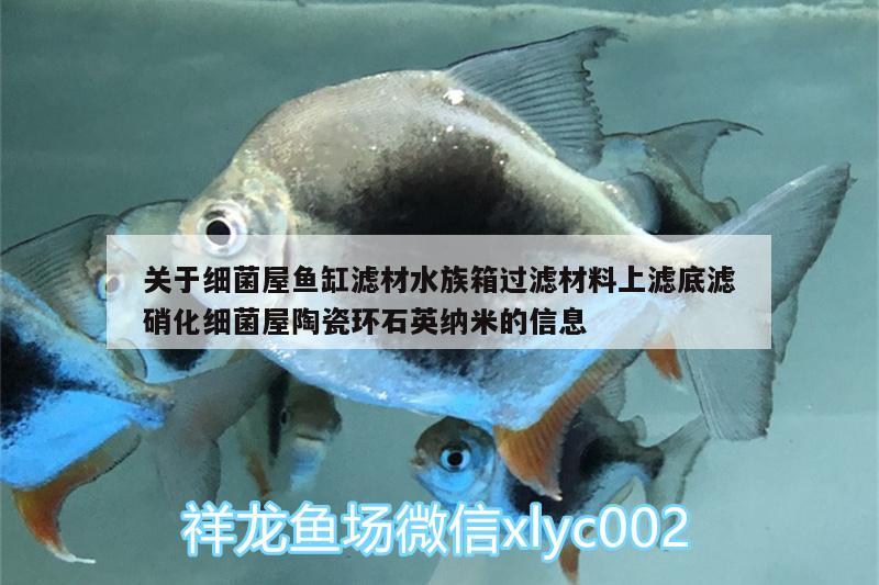 关于细菌屋鱼缸滤材水族箱过滤材料上滤底滤硝化细菌屋陶瓷环石英纳米的信息 硝化细菌