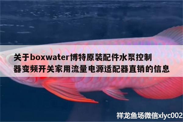 关于boxwater博特原装配件水泵控制器变频开关家用流量电源适配器直销的信息 博特水族