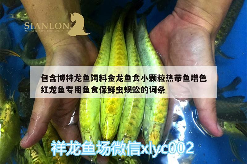 包含博特龙鱼饲料金龙鱼食小颗粒热带鱼增色红龙鱼专用鱼食保鲜虫蜈蚣的词条 博特水族