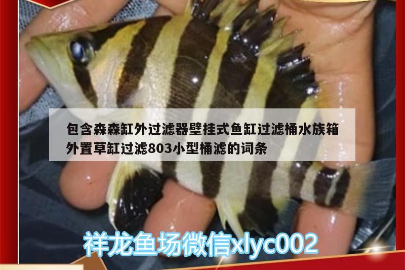 包含森森缸外过滤器壁挂式鱼缸过滤桶水族箱外置草缸过滤803小型桶滤的词条