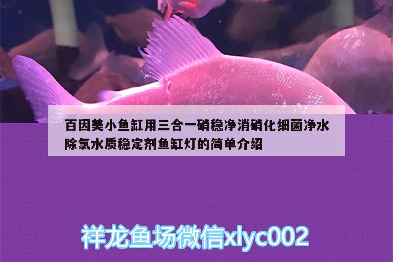 百因美小鱼缸用三合一硝稳净消硝化细菌净水除氯水质稳定剂鱼缸灯的简单介绍 硝化细菌