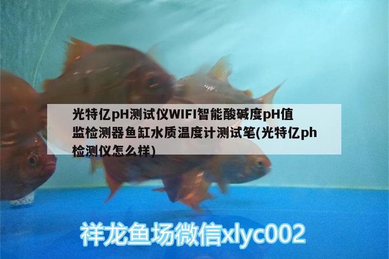 光特亿pH测试仪WIFI智能酸碱度pH值监检测器鱼缸水质温度计测试笔(光特亿ph检测仪怎么样) 光特亿