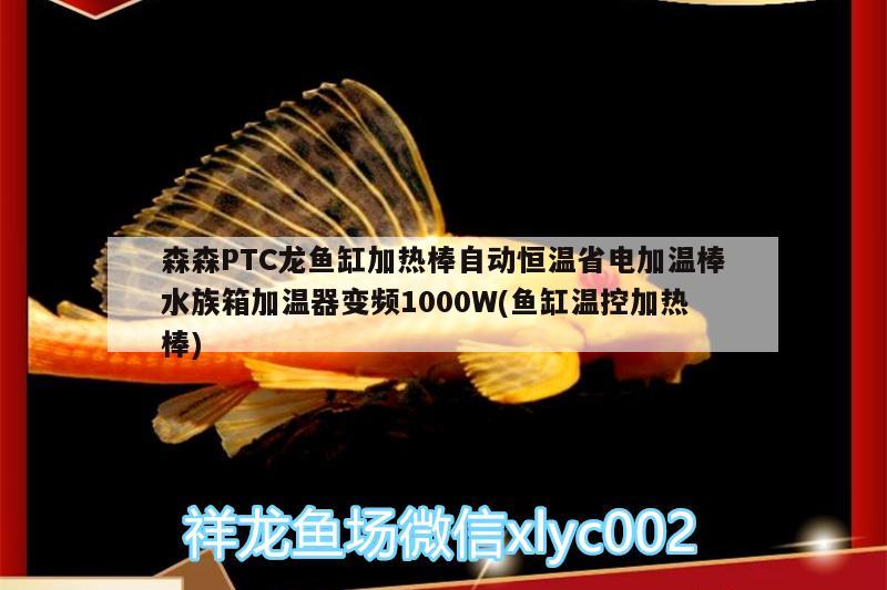 森森PTC龙鱼缸加热棒自动恒温省电加温棒水族箱加温器变频1000W(鱼缸温控加热棒) 鱼缸/水族箱