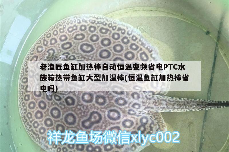 老渔匠鱼缸加热棒自动恒温变频省电PTC水族箱热带鱼缸大型加温棒(恒温鱼缸加热棒省电吗) 鱼缸/水族箱