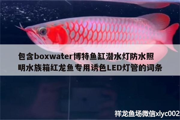 包含boxwater博特鱼缸潜水灯防水照明水族箱红龙鱼专用诱色LED灯管的词条