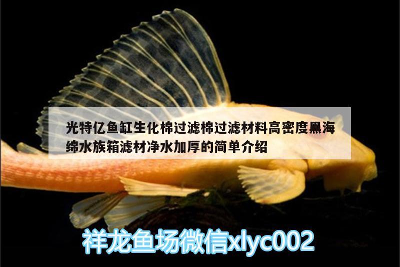 光特亿鱼缸生化棉过滤棉过滤材料高密度黑海绵水族箱滤材净水加厚的简单介绍 光特亿