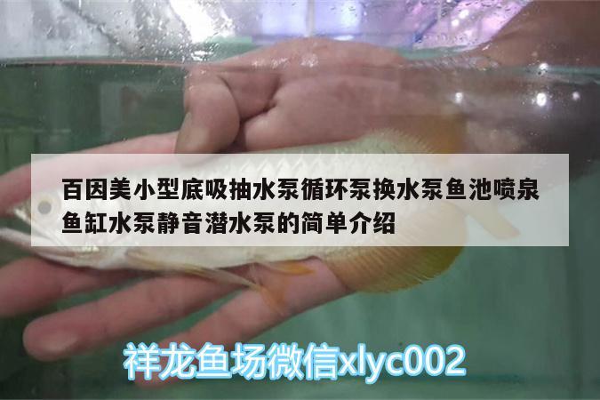 百因美小型底吸抽水泵循环泵换水泵鱼池喷泉鱼缸水泵静音潜水泵的简单介绍 鱼缸水泵