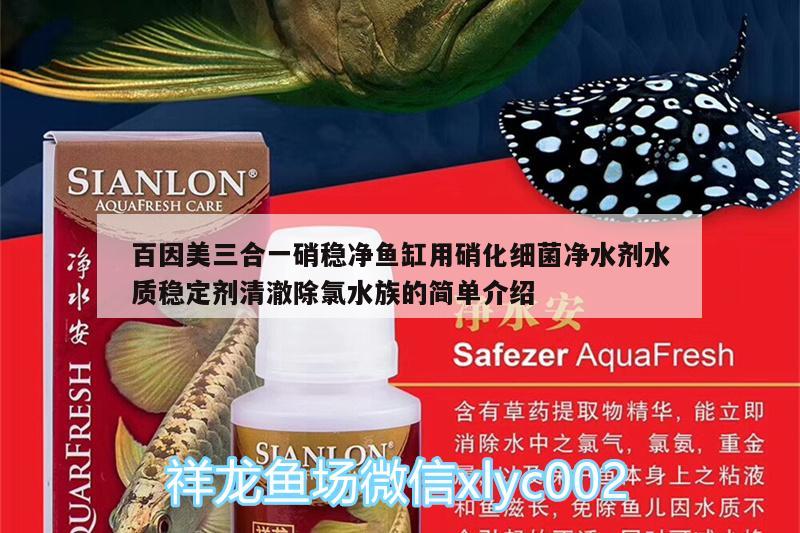 百因美三合一硝稳净鱼缸用硝化细菌净水剂水质稳定剂清澈除氯水族的简单介绍 硝化细菌