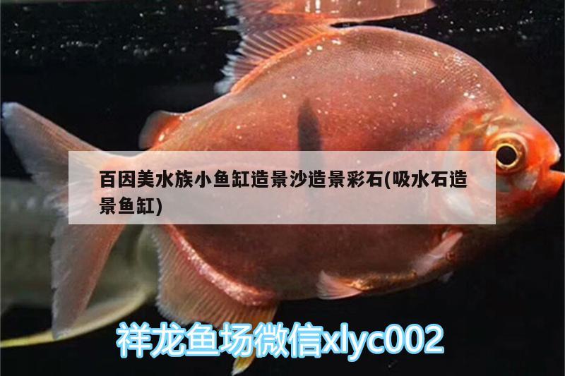 百因美水族小鱼缸造景沙造景彩石(吸水石造景鱼缸)