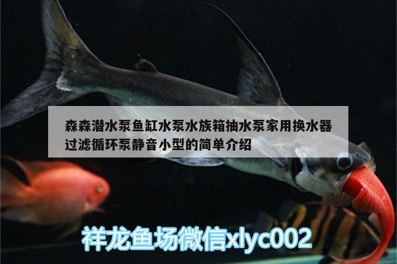 森森潜水泵鱼缸水泵水族箱抽水泵家用换水器过滤循环泵静音小型的简单介绍