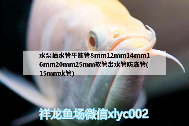 水泵抽水管牛筋管8mm12mm14mm16mm20mm25mm软管出水管防冻管(15mm水管) 广州水族器材滤材批发市场