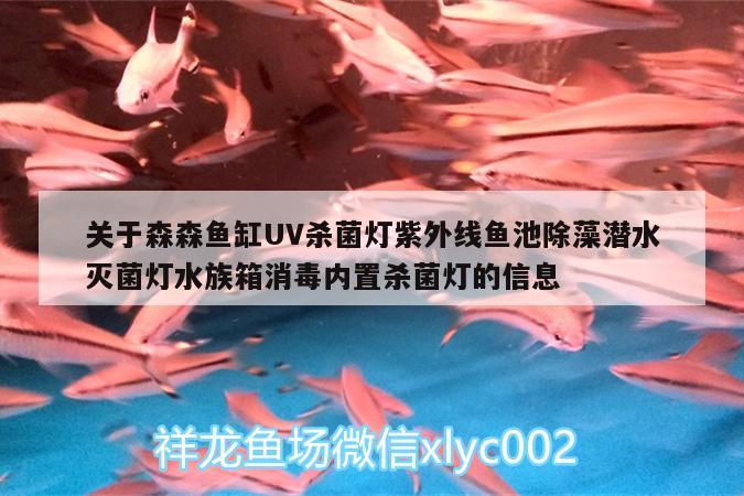 关于森森鱼缸UV杀菌灯紫外线鱼池除藻潜水灭菌灯水族箱消毒内置杀菌灯的信息 鱼缸/水族箱