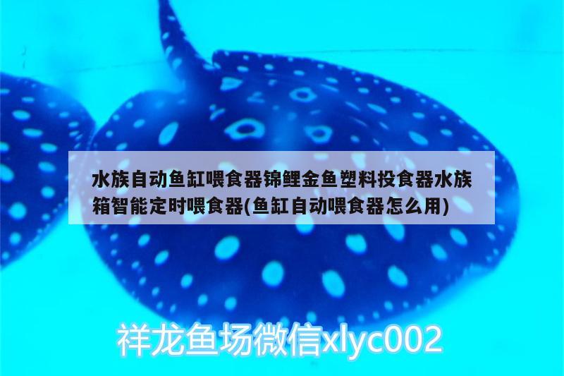 水族自动鱼缸喂食器锦鲤金鱼塑料投食器水族箱智能定时喂食器(鱼缸自动喂食器怎么用)