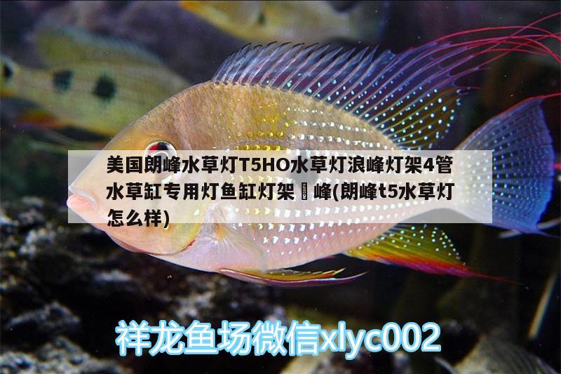 美国朗峰水草灯T5HO水草灯浪峰灯架4管水草缸专用灯鱼缸灯架郞峰(朗峰t5水草灯怎么样) 水草 第2张