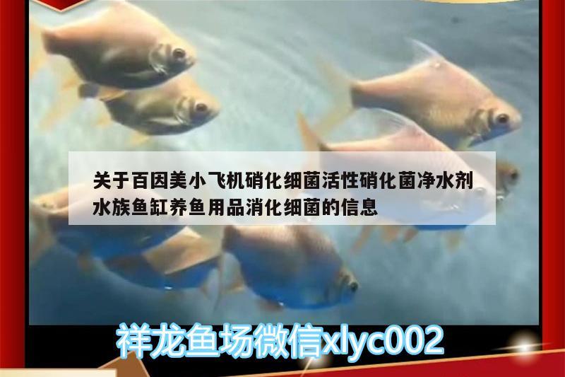 关于百因美小飞机硝化细菌活性硝化菌净水剂水族鱼缸养鱼用品消化细菌的信息 硝化细菌