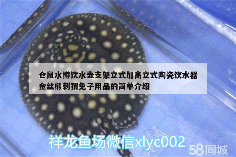 仓鼠水樽饮水壶支架立式加高立式陶瓷饮水器金丝熊刺猬兔子用品的简单介绍 广州水族器材滤材批发市场