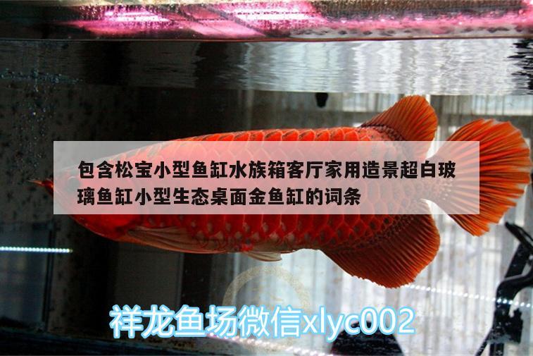 包含松宝小型鱼缸水族箱客厅家用造景超白玻璃鱼缸小型生态桌面金鱼缸的词条