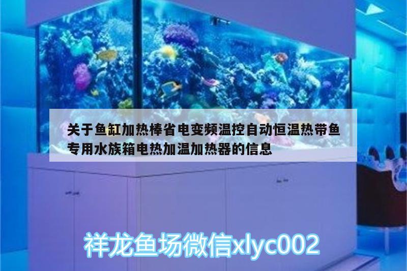 关于鱼缸加热棒省电变频温控自动恒温热带鱼专用水族箱电热加温加热器的信息