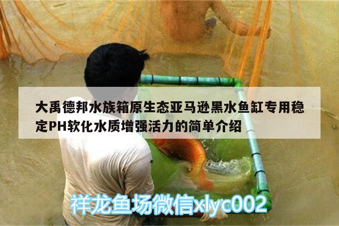 大禹德邦水族箱原生态亚马逊黑水鱼缸专用稳定PH软化水质增强活力的简单介绍