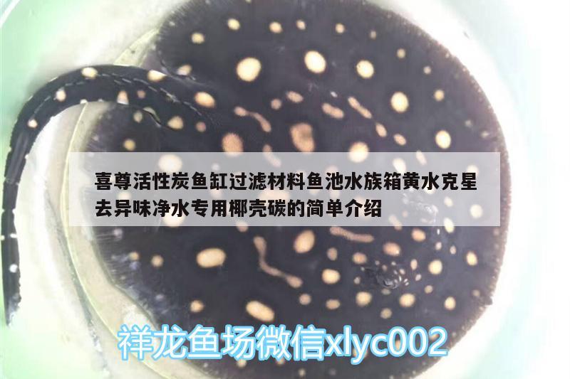 喜尊活性炭鱼缸过滤材料鱼池水族箱黄水克星去异味净水专用椰壳碳的简单介绍 鱼缸/水族箱