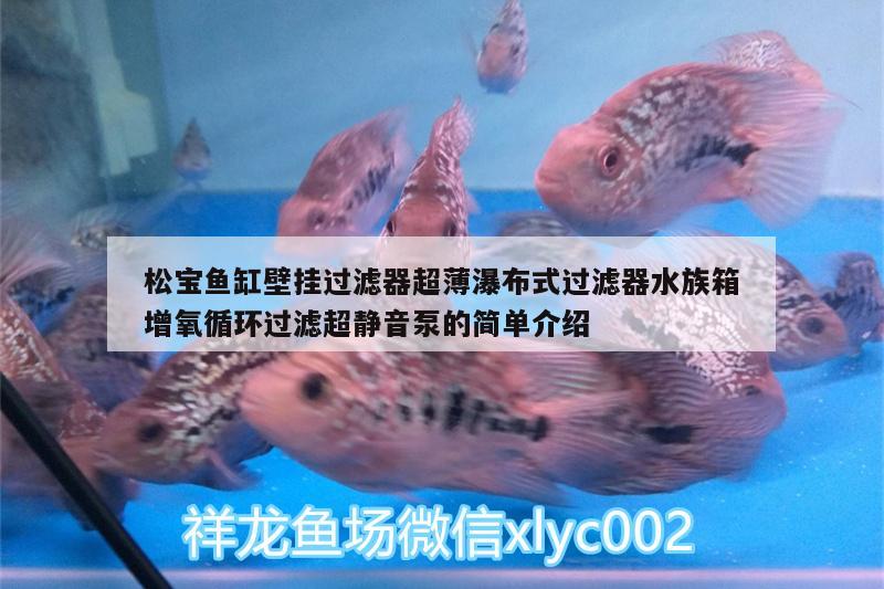 松宝鱼缸壁挂过滤器超薄瀑布式过滤器水族箱增氧循环过滤超静音泵的简单介绍 鱼缸/水族箱