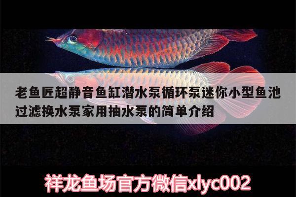 老鱼匠超静音鱼缸潜水泵循环泵迷你小型鱼池过滤换水泵家用抽水泵的简单介绍