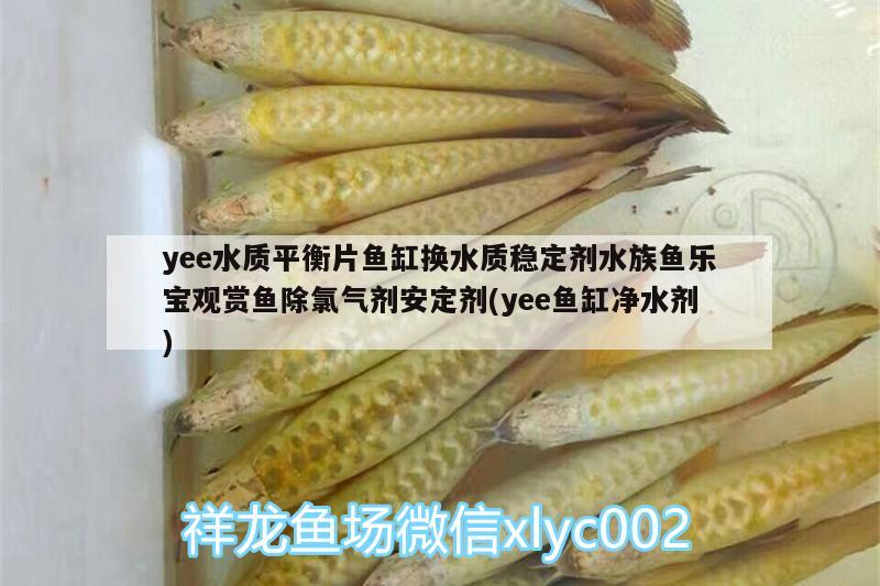 yee水质平衡片鱼缸换水质稳定剂水族鱼乐宝观赏鱼除氯气剂安定剂(yee鱼缸净水剂) yee