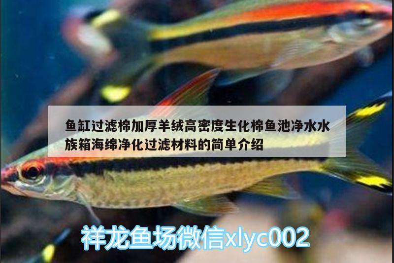 鱼缸过滤棉加厚羊绒高密度生化棉鱼池净水水族箱海绵净化过滤材料的简单介绍 鱼缸/水族箱