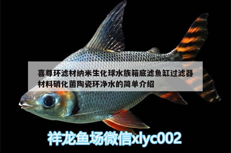 喜尊环滤材纳米生化球水族箱底滤鱼缸过滤器材料硝化菌陶瓷环净水的简单介绍