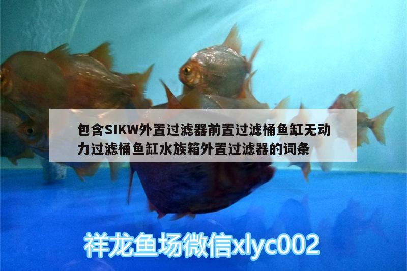 包含SIKW外置过滤器前置过滤桶鱼缸无动力过滤桶鱼缸水族箱外置过滤器的词条 鱼缸/水族箱