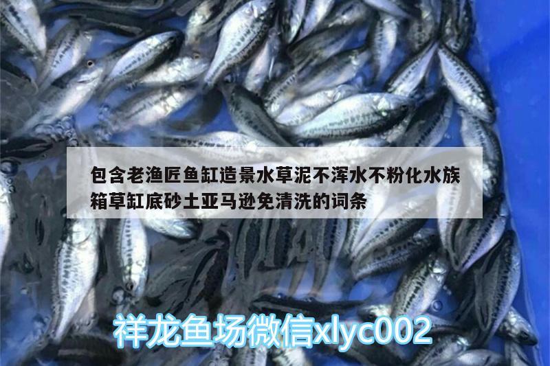 包含老渔匠鱼缸造景水草泥不浑水不粉化水族箱草缸底砂土亚马逊免清洗的词条