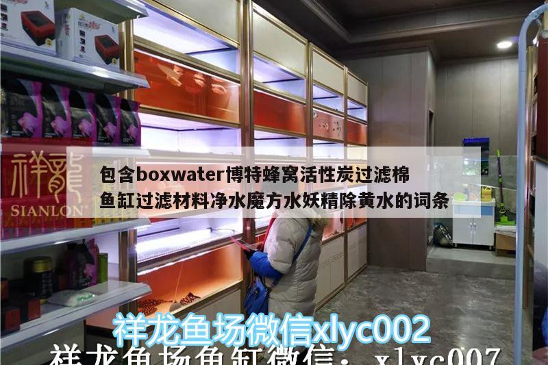 包含boxwater博特蜂窝活性炭过滤棉鱼缸过滤材料净水魔方水妖精除黄水的词条 博特水族 第2张