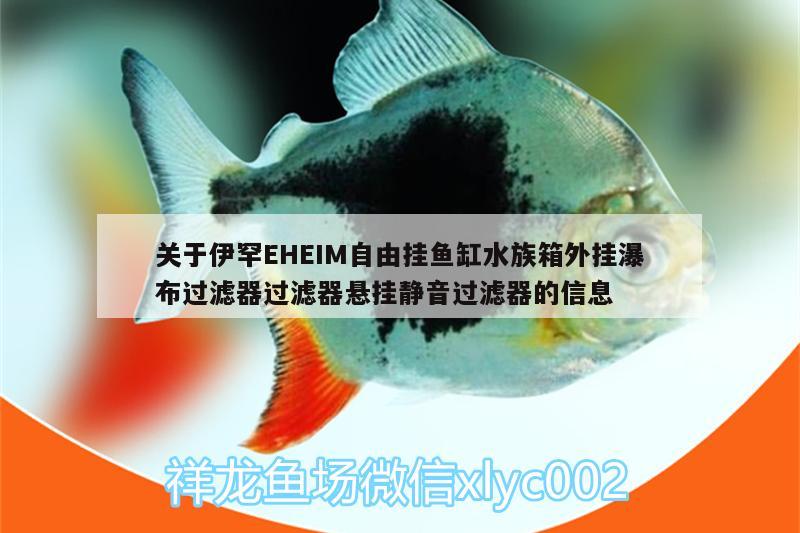 关于伊罕EHEIM自由挂鱼缸水族箱外挂瀑布过滤器过滤器悬挂静音过滤器的信息