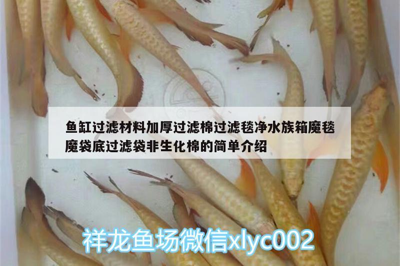 鱼缸过滤材料加厚过滤棉过滤毯净水族箱魔毯魔袋底过滤袋非生化棉的简单介绍 鱼缸/水族箱