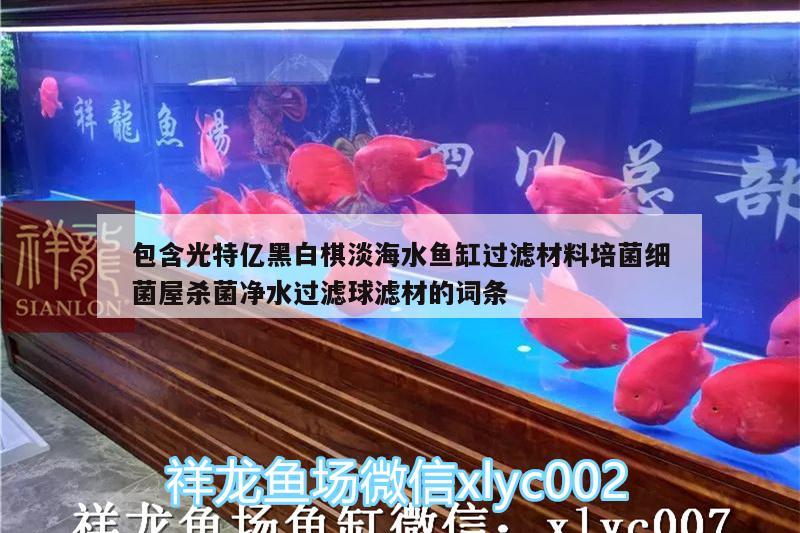 包含光特亿黑白棋淡海水鱼缸过滤材料培菌细菌屋杀菌净水过滤球滤材的词条