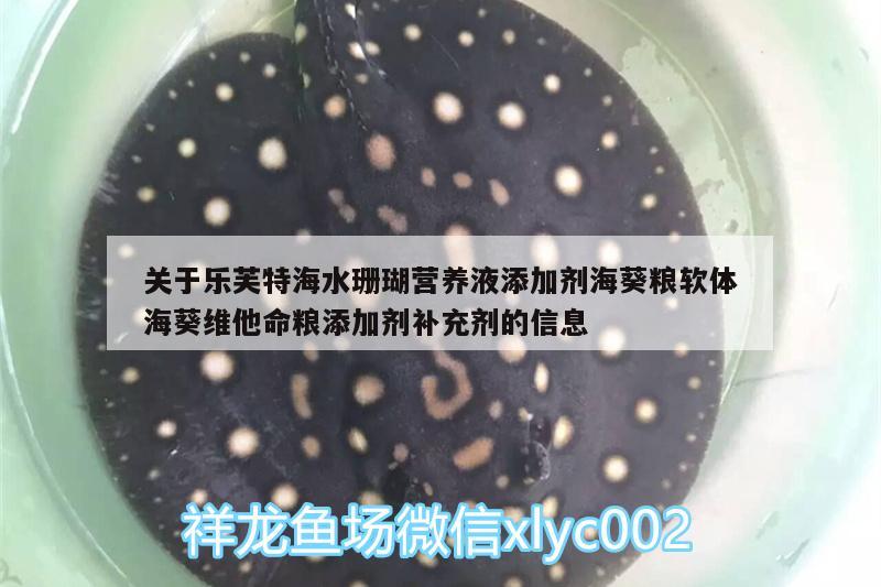 关于乐芙特海水珊瑚营养液添加剂海葵粮软体海葵维他命粮添加剂补充剂的信息