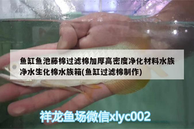 鱼缸鱼池藤棉过滤棉加厚高密度净化材料水族净水生化棉水族箱(鱼缸过滤棉制作) 鱼缸/水族箱