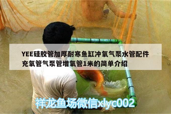 YEE硅胶管加厚耐寒鱼缸冲氧气泵水管配件充氧管气泵管增氧管1米的简单介绍