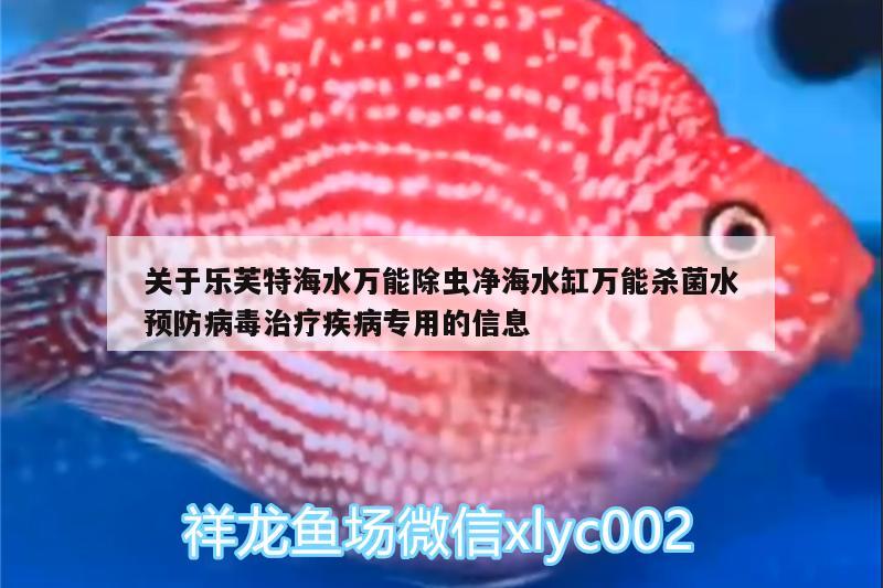 关于乐芙特海水万能除虫净海水缸万能杀菌水预防病毒治疗疾病专用的信息 广州水族器材滤材批发市场