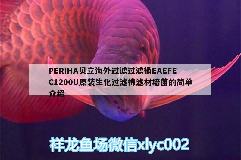 PERIHA贝立海外过滤过滤桶EAEFEC1200U原装生化过滤棉滤材培菌的简单介绍